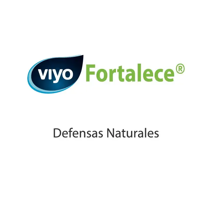 Logotipo de la marca Viyo fortalece