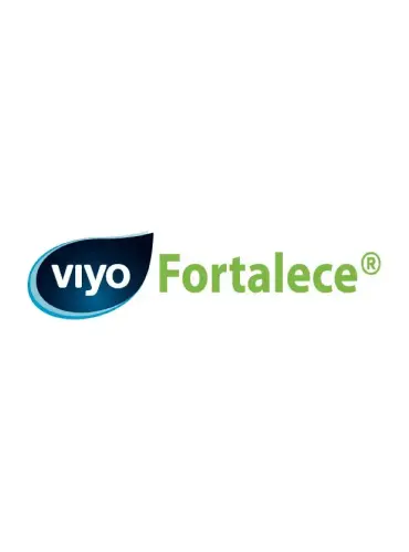 Imagen del logo de Viyo Fortalece